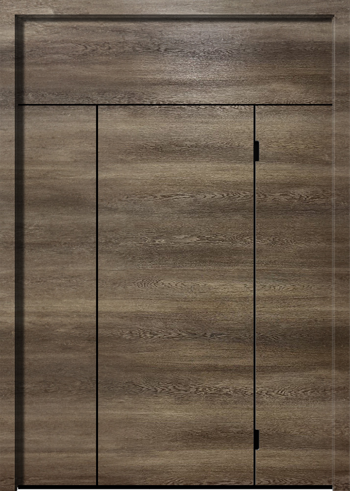 19.06.58 Кортекс ДСФББ